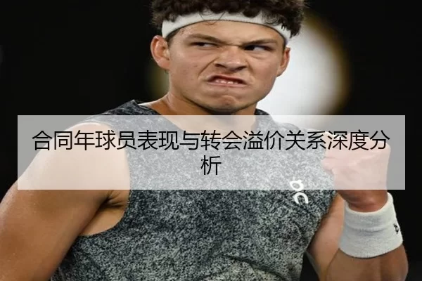 合同年球员表现与转会溢价关系深度分析